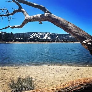 Meet your Posher, Kristopher